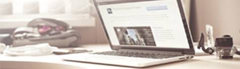 Web development - website development
