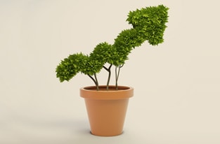 E-Marketing & SEO